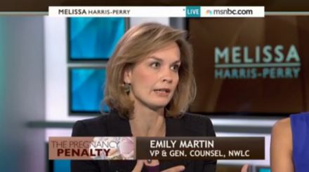 The author's appearance on the Melissa Harris-Perry Show in 2014