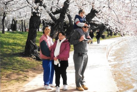 A picture of Josh and his family underneath cherry blossom trees.