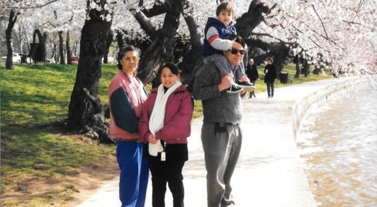 A picture of Josh and his family underneath cherry blossom trees.