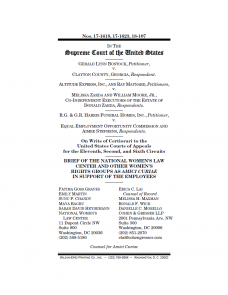 Cover of Amicus Brief
