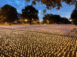 Image of covid memorials on national mall