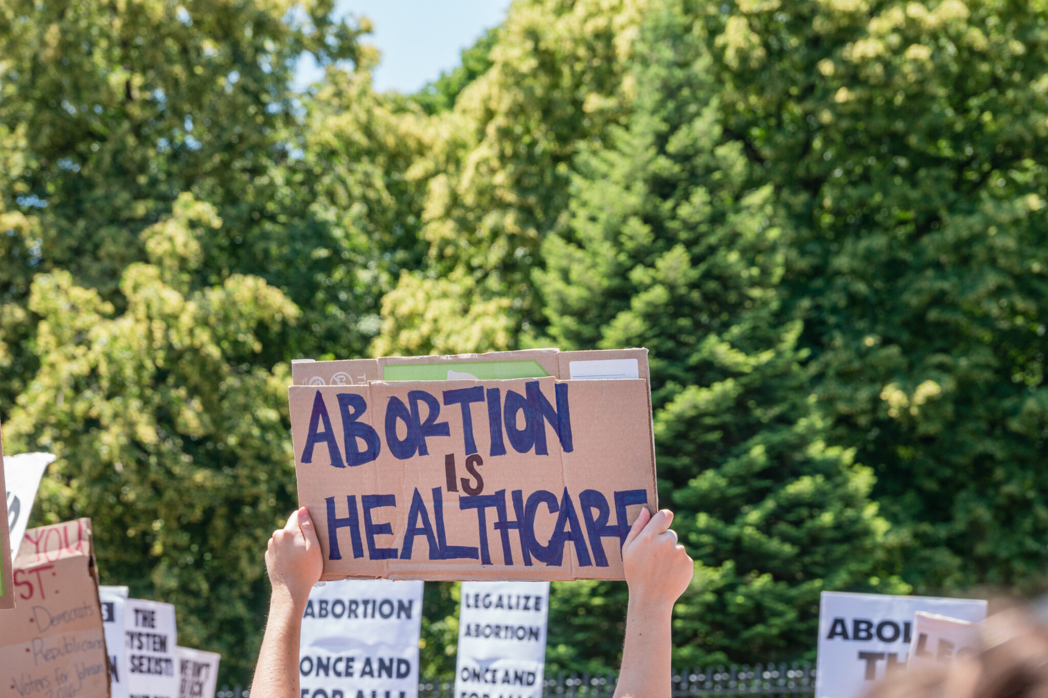 Forging Democracy: Missouri's Fight for Reproductive Freedom and ...