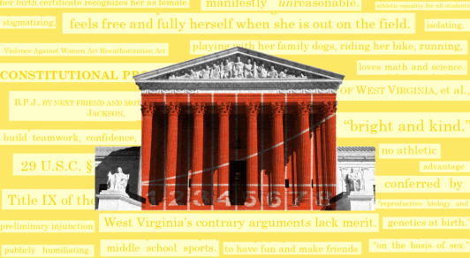 Illustration of the Supreme Court with text behind it.